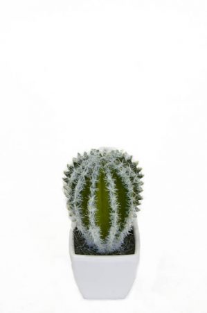 Kaktus, rund, mini, konstgjord -0