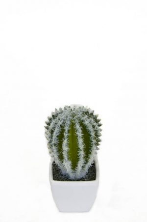 Kaktus, rund, mini, konstgjord -0