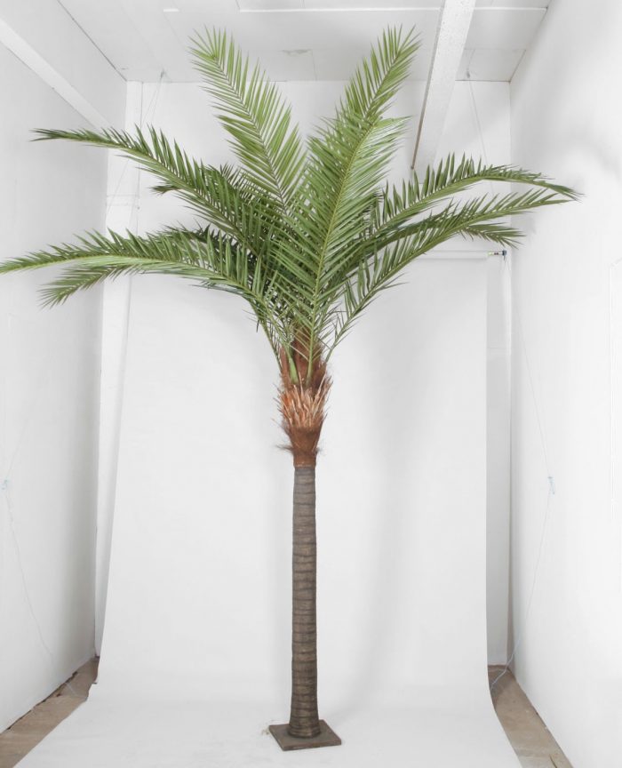 Phoenix canarie palm, konstgjord -0