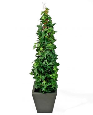 Murgröna, på stock, konstgjord-60cm