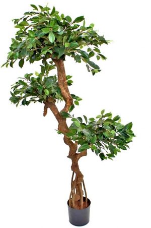 Ficus retusa, konstgjort träd-0