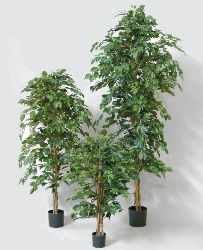 Ficus, Benjaminfikus konstgjord växt, 70cm