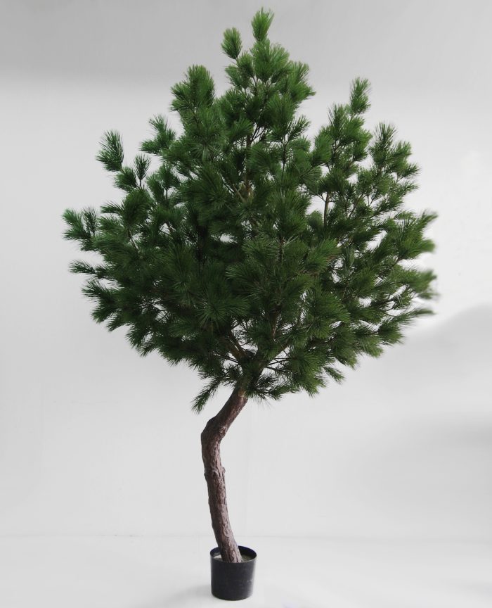 Tall, Pinus, konstgjord, 270cm