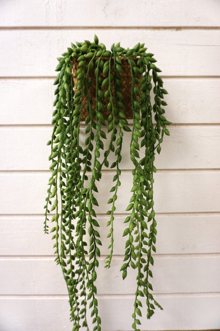 Ärtor på tråd, senecio, hängande konstgjord växt, 80cm