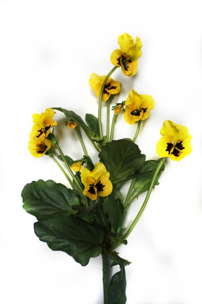 Pensé, mini, gul, konstgjord blomma, 38 cm