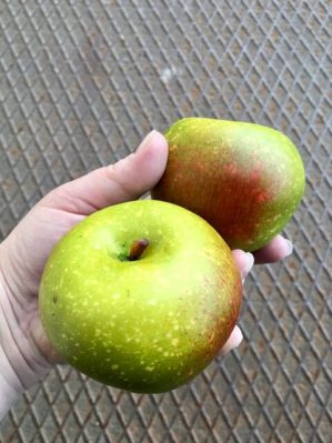 äpple, grön/rött, konstgjort, 8 cm