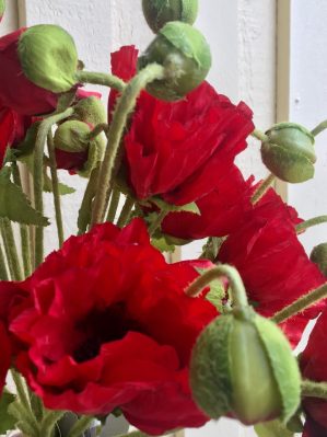 Vallmo, röd, konstgjord blomma, 60 cm