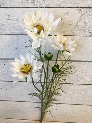 Rosenskära, cosmos, vit, konstgjord blomma, 55 cm