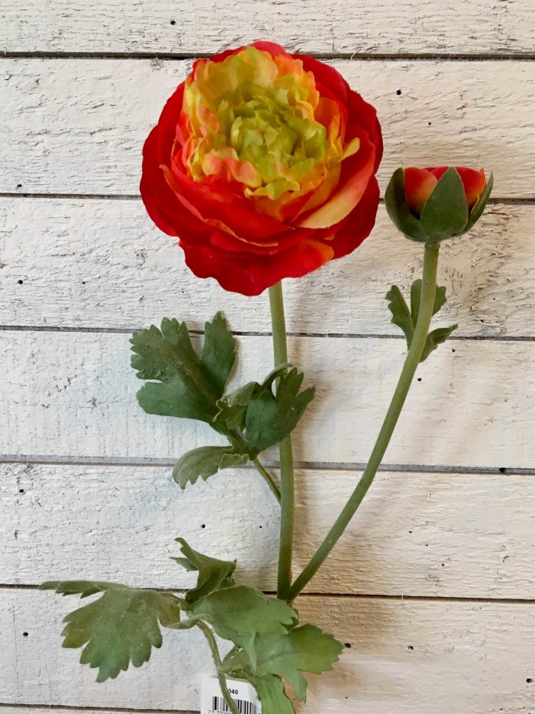 Ranunkel, lime/orangeröd, konstgjord, 70cm