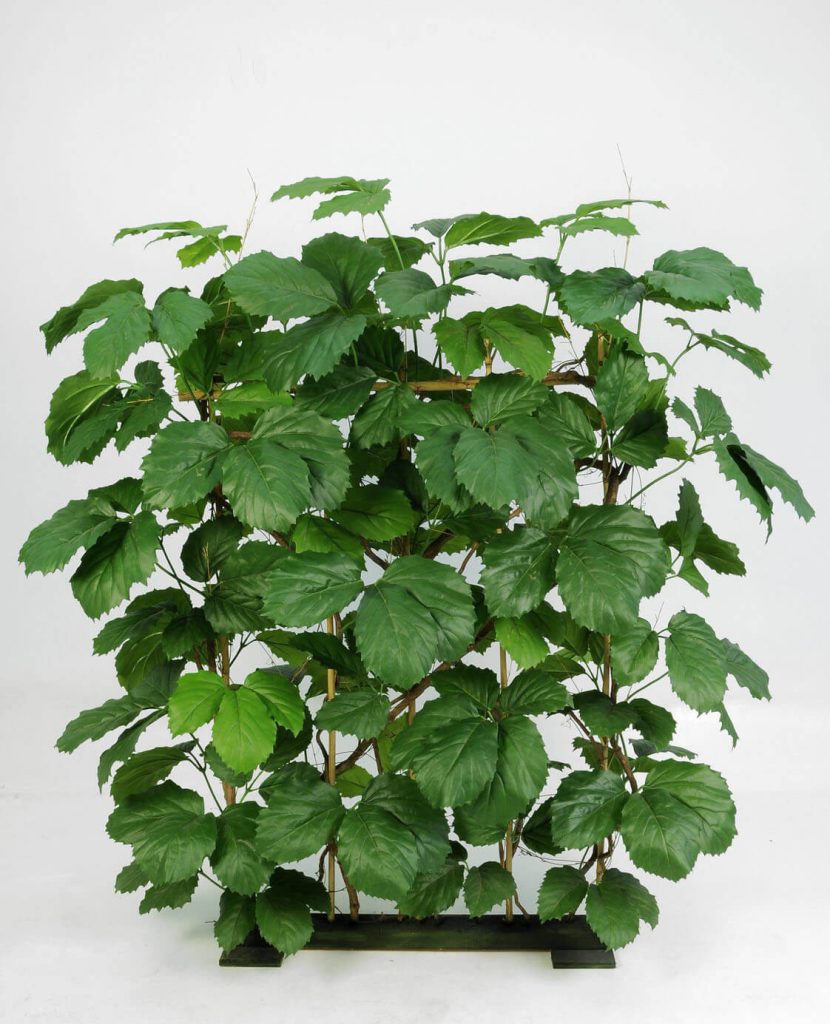 Tetrastigma spaljé, konstgjord, 170cm