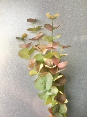 Eucalyptus höst matt konstgjord kvist 60cm