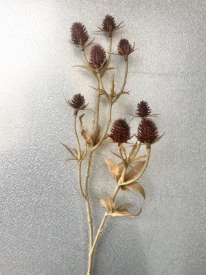 Tistel, eryngium, martorn, konstgjord snittblomma, 50 cm