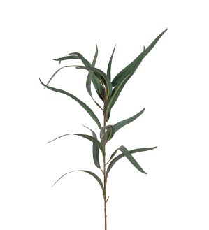 Eucalyptus, viminalis, grön matt, konstgjord kvist, 60cm