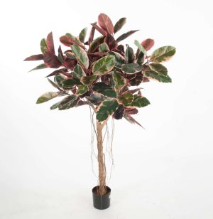 Ficus Robusta, Brokbladig fönsterfikus, uppstammad, konstgjord, 150 cm