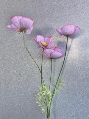 Rosenskära, cosmos, blekrosa, konstgjord blomma, 60 cm