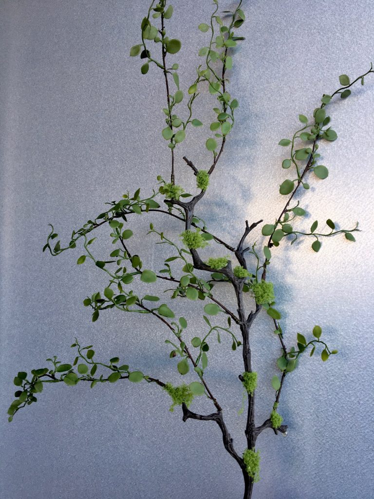 Muehlenbeckia, plättar i luften, konstgjord kvist, 80cm