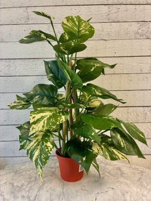 Gullranka, brokbladig, konstgjord växt, 42cm - Image 2