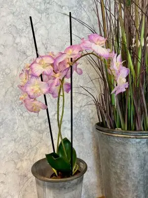 Orkidé i kruka, 2-stängel rosa/vit, konstgjord, 55cm