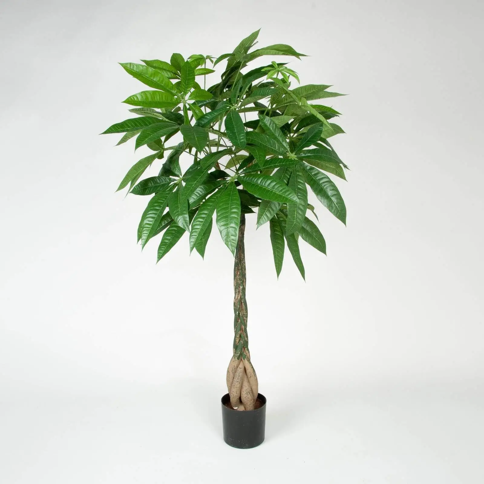 Pachira, konstgjord krukväxt, 130cm