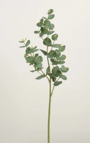 Eucalyptus, konstgjord kvist, 50 cm