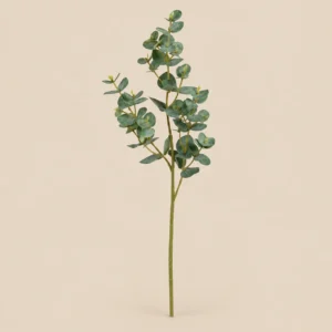 Eucalyptus, konstgjord kvist, 50 cm